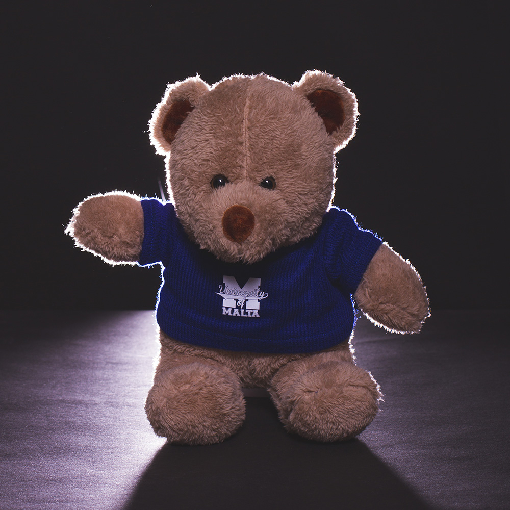 blue toy bear